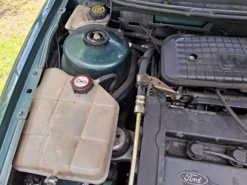 ford cougar45