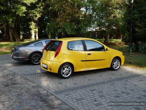 punto testy01