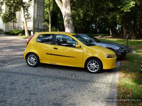 punto testy02