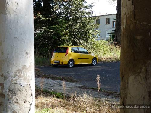 punto testy23